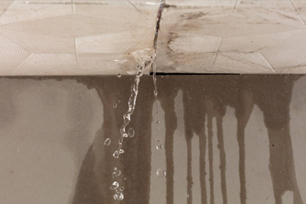 Professional Structural Drying technician working in Brentwood, MD